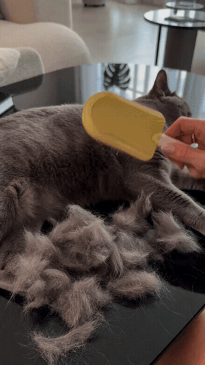 PetGlide™ Soft Silicone Grooming Brush